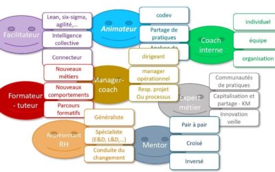 Cap sur les artisans internes des transformations