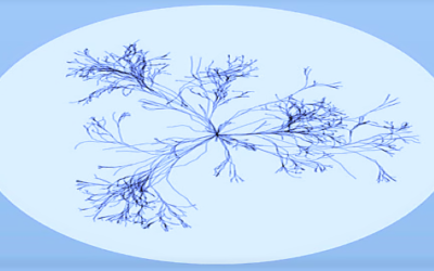 5 dimensions pour conduire les transformations