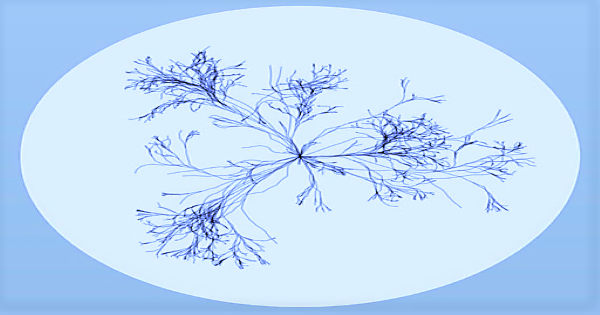 5 dimensions pour conduire les transformations